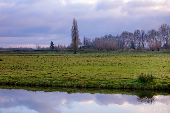 Winter_scenery_north_holland_landscape_nederland_Photography_300_Canon_EOS_5D_Mark_IV.JPG