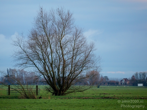 Winter_scenery_north_holland_landscape_nederland_Photography_313_Canon_EOS_5D_Mark_IV.JPG