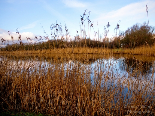 Winter_scenery_north_holland_landscape_nederland_Photography_323_Canon_EOS_5D_Mark_IV.JPG