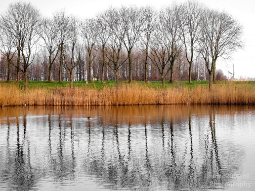 Winter_scenery_north_holland_landscape_nederland_Photography_326_Canon_EOS_5D_Mark_IV.JPG