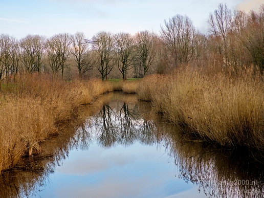 Winter_scenery_north_holland_landscape_nederland_Photography_329_Canon_EOS_5D_Mark_IV.JPG