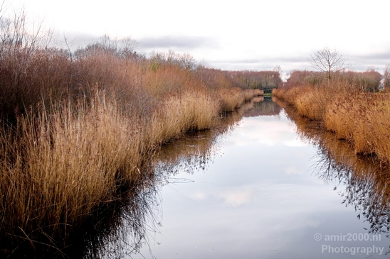 Winter_scenery_north_holland_landscape_nederland_Photography_330_Canon_EOS_5D_Mark_IV.JPG