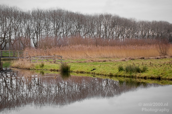 Winter_scenery_north_holland_landscape_nederland_Photography_338_Canon_EOS_5D_Mark_IV.JPG