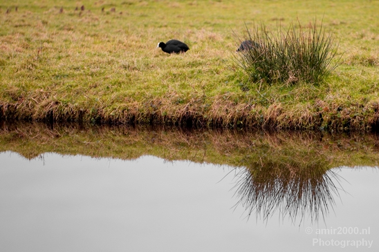 Winter_scenery_north_holland_landscape_nederland_Photography_339_Canon_EOS_5D_Mark_IV.JPG