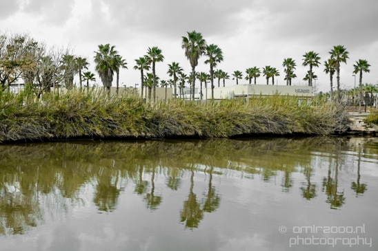 Yarkon_and_Park_Hayarkon_Tel_Israel_Landscape_Photography_015_Canon_EOS_5D_Mark_IV.JPG