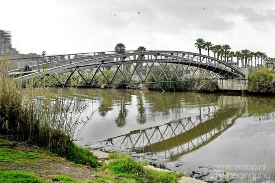 Yarkon_and_Park_Hayarkon_Tel_Israel_Landscape_Photography_016_Canon_EOS_5D_Mark_IV.JPG