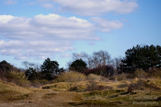 Zuid_Kennemerland_National_Park_nature_landscape_Photography_002_Canon_EOS_5D_Mark_IV.JPG