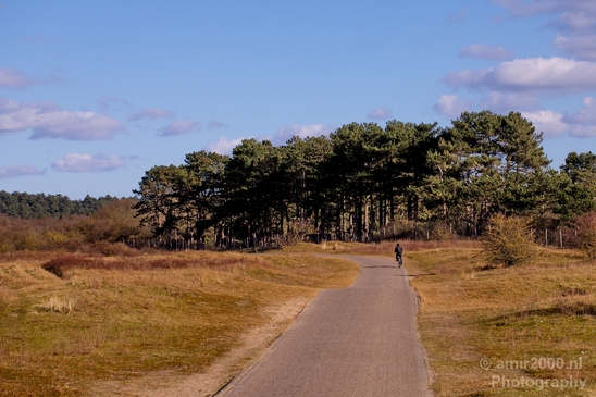 Zuid_Kennemerland_National_Park_nature_landscape_Photography_003_Canon_EOS_5D_Mark_IV.JPG