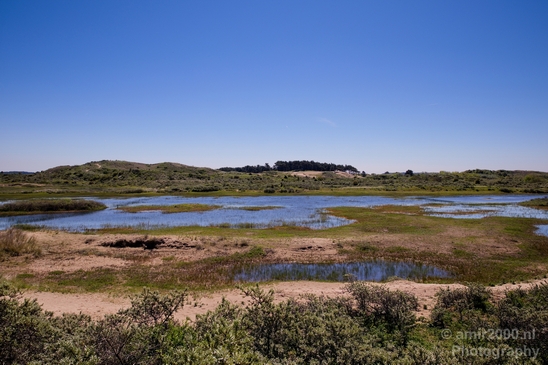 Zuid_Kennemerland_National_Park_nature_landscape_Photography_006_Canon_EOS_5D_Mark_IV.JPG