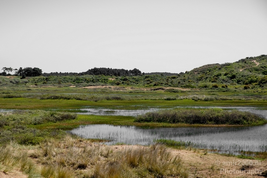 Zuid_Kennemerland_National_Park_nature_landscape_Photography_007_Canon_EOS_5D_Mark_IV.JPG