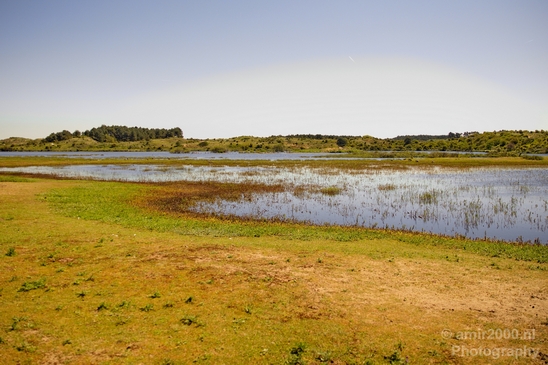 Zuid_Kennemerland_National_Park_nature_landscape_Photography_009_Canon_EOS_5D_Mark_IV.JPG