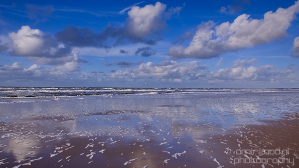 Zuid_Kennemerland_National_Park_nature_landscape_Photography_011_Canon_EOS_5D_Mark_IV.JPG
