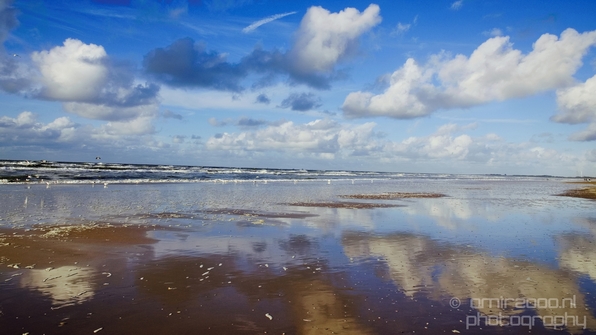 Zuid_Kennemerland_National_Park_nature_landscape_Photography_012_Canon_EOS_5D_Mark_IV.JPG