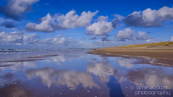 Zuid_Kennemerland_National_Park_nature_landscape_Photography_013_Canon_EOS_5D_Mark_IV.JPG