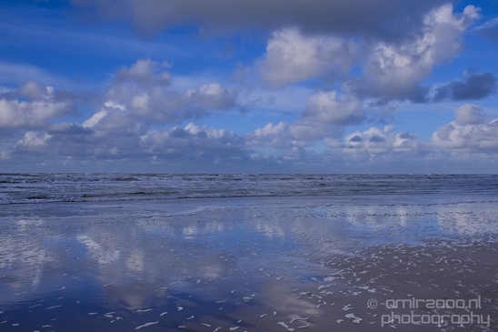 Zuid_Kennemerland_National_Park_nature_landscape_Photography_014_Canon_EOS_5D_Mark_IV.JPG