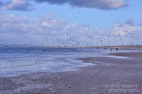 Zuid_Kennemerland_National_Park_nature_landscape_Photography_015_Canon_EOS_5D_Mark_IV.JPG