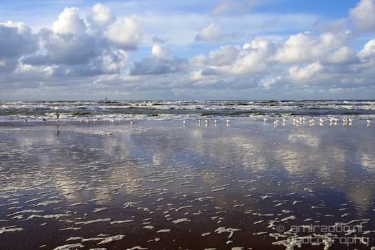 Zuid_Kennemerland_National_Park_nature_landscape_Photography_017_Canon_EOS_5D_Mark_IV.JPG