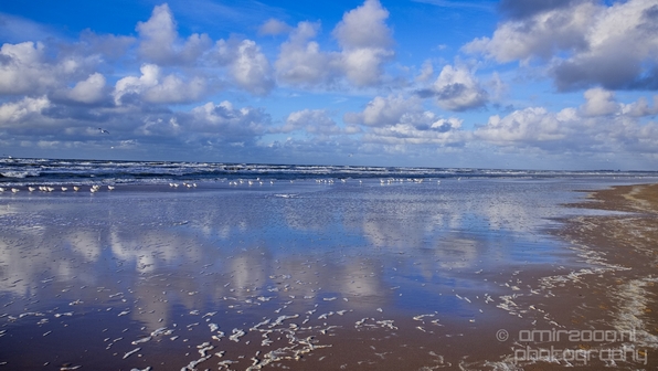 Zuid_Kennemerland_National_Park_nature_landscape_Photography_018_Canon_EOS_5D_Mark_IV.JPG