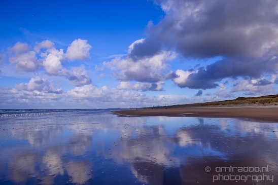 Zuid_Kennemerland_National_Park_nature_landscape_Photography_019_Canon_EOS_5D_Mark_IV.JPG