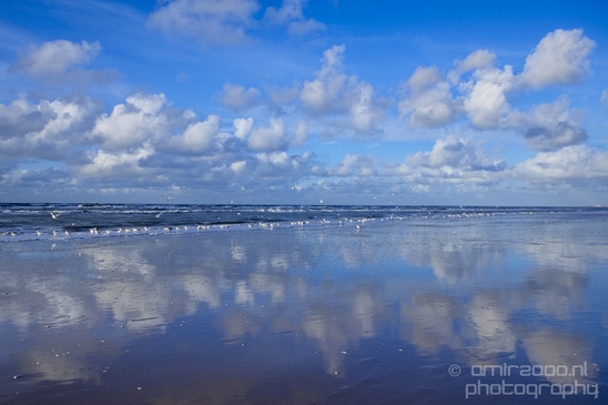 Zuid_Kennemerland_National_Park_nature_landscape_Photography_021_Canon_EOS_5D_Mark_IV.JPG