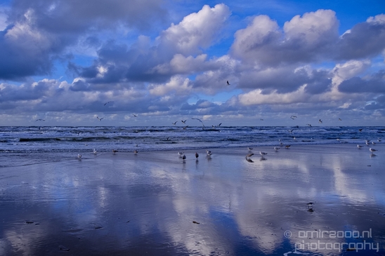 Zuid_Kennemerland_National_Park_nature_landscape_Photography_030_Canon_EOS_5D_Mark_IV.JPG