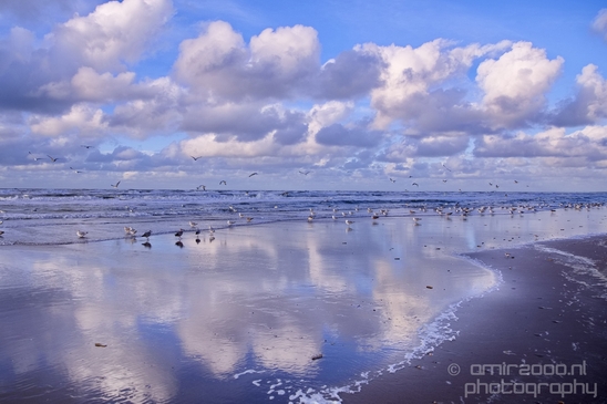 Zuid_Kennemerland_National_Park_nature_landscape_Photography_031_Canon_EOS_5D_Mark_IV.JPG