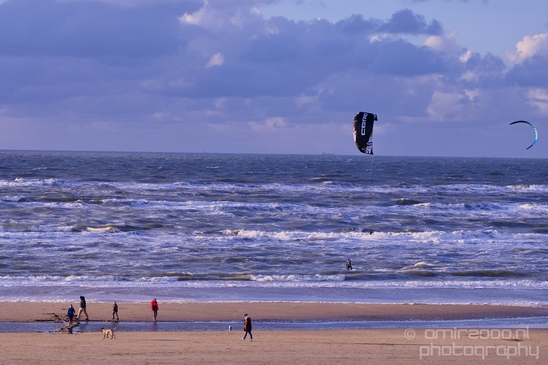 Zuid_Kennemerland_National_Park_nature_landscape_Photography_038_Canon_EOS_5D_Mark_IV.JPG