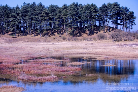 Zuid_Kennemerland_National_Park_nature_landscape_Photography_080_Canon_EOS_5D_Mark_IV.JPG