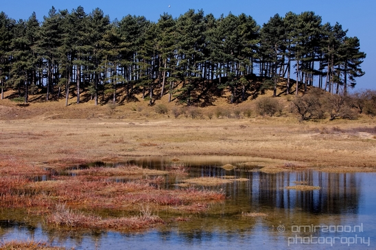 Zuid_Kennemerland_National_Park_nature_landscape_Photography_082_Canon_EOS_5D_Mark_IV.JPG