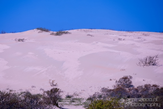 Zuid_Kennemerland_National_Park_nature_landscape_Photography_099_Canon_EOS_5D_Mark_IV.JPG
