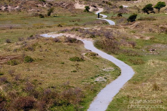Zuid_Kennemerland_National_Park_nature_landscape_Photography_110_Canon_EOS_5D_Mark_IV.JPG