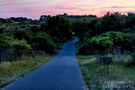 Zuid_Kennemerland_National_Park_nature_landscape_Photography_130_Canon_EOS_5D_Mark_IV.JPG