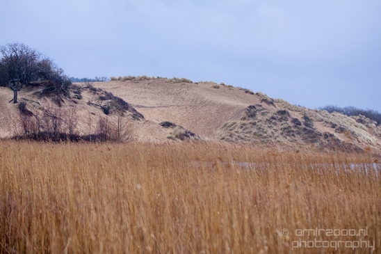 Zuid_Kennemerland_National_Park_nature_landscape_Photography_147_Canon_EOS_5D_Mark_IV.JPG