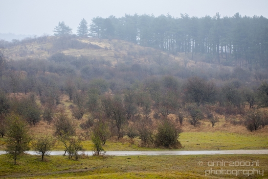 Zuid_Kennemerland_National_Park_nature_landscape_Photography_166_Canon_EOS_5D_Mark_IV.JPG
