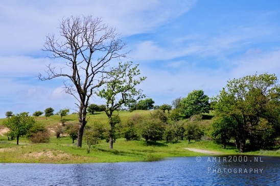 Zuid_Kennemerland_National_Park_nature_landscape_Photography_205_Canon_EOS_5D_Mark_IV.JPG
