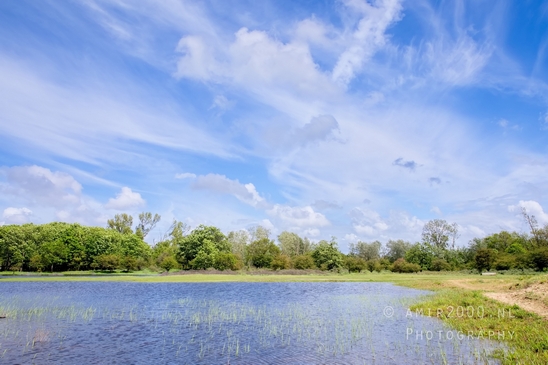 Zuid_Kennemerland_National_Park_nature_landscape_Photography_207_Canon_EOS_5D_Mark_IV.JPG