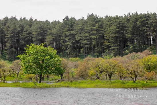 Zuid_Kennemerland_National_Park_nature_landscape_Photography_212_Canon_EOS_5D_Mark_IV.JPG
