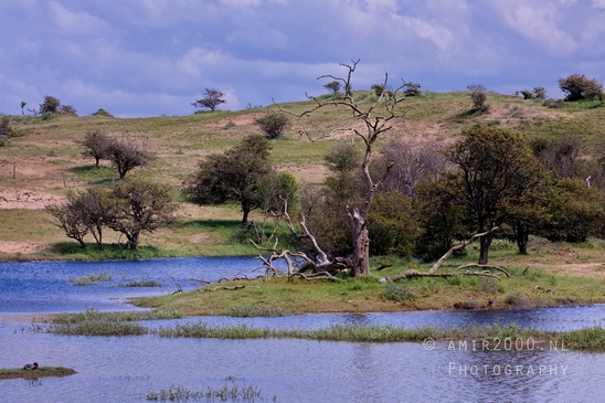 Zuid_Kennemerland_National_Park_nature_landscape_Photography_214_Canon_EOS_5D_Mark_IV.JPG