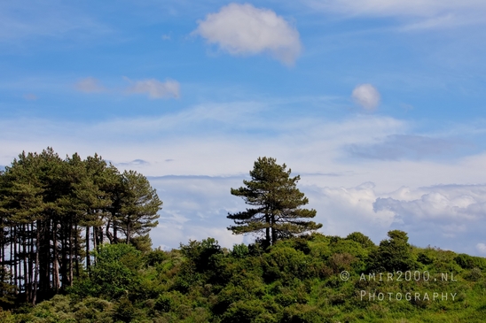 Zuid_Kennemerland_National_Park_nature_landscape_Photography_216_Canon_EOS_5D_Mark_IV.JPG