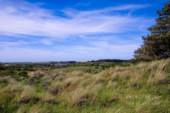 Zuid_Kennemerland_National_Park_nature_landscape_Photography_226_Canon_EOS_5D_Mark_IV.JPG