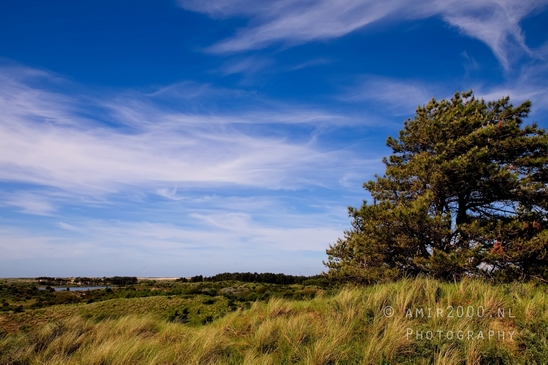 Zuid_Kennemerland_National_Park_nature_landscape_Photography_227_Canon_EOS_5D_Mark_IV.JPG