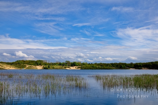 Zuid_Kennemerland_National_Park_nature_landscape_Photography_235_Canon_EOS_5D_Mark_IV.JPG