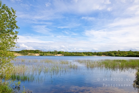 Zuid_Kennemerland_National_Park_nature_landscape_Photography_236_Canon_EOS_5D_Mark_IV.JPG