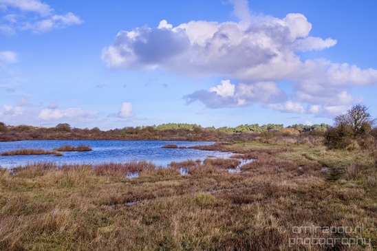 Zuid_Kennemerland_National_Park_nature_landscape_Photography_271_Canon_EOS_5D_Mark_IV.JPG