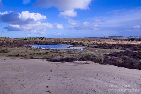 Zuid_Kennemerland_National_Park_nature_landscape_Photography_274_Canon_EOS_5D_Mark_IV.JPG