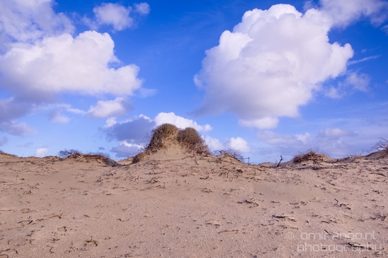Zuid_Kennemerland_National_Park_nature_landscape_Photography_275_Canon_EOS_5D_Mark_IV.JPG