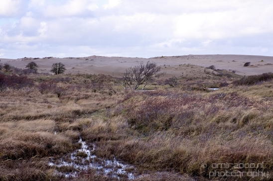 Zuid_Kennemerland_National_Park_nature_landscape_Photography_277_Canon_EOS_5D_Mark_IV.JPG