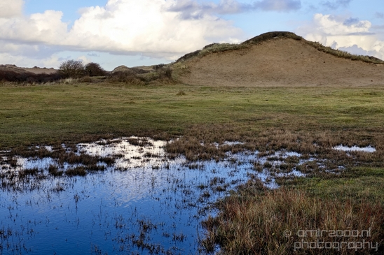 Zuid_Kennemerland_National_Park_nature_landscape_Photography_283_Canon_EOS_5D_Mark_IV.JPG