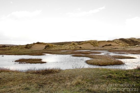 Zuid_Kennemerland_National_Park_nature_landscape_Photography_285_Canon_EOS_5D_Mark_IV.JPG