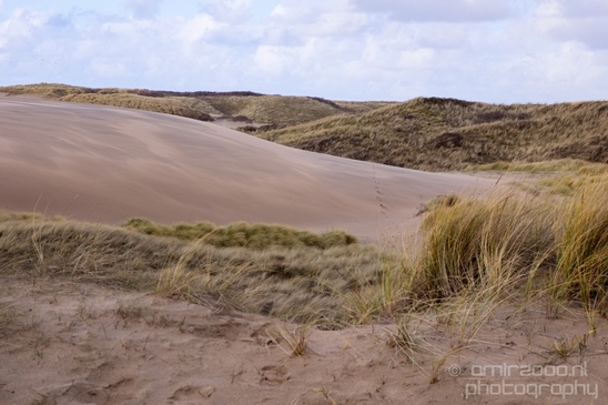 Zuid_Kennemerland_National_Park_nature_landscape_Photography_288_Canon_EOS_5D_Mark_IV.JPG